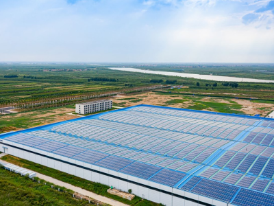 imgi_5_20230319230636282